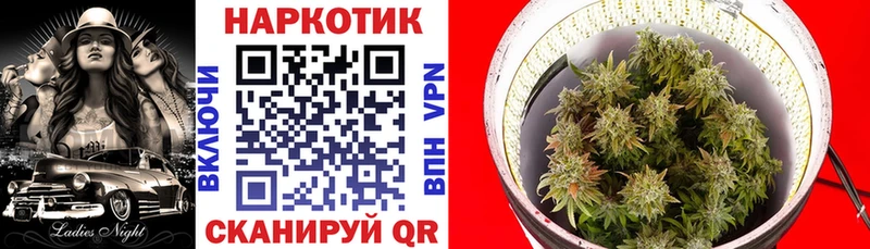 Где продают наркотики Поронайск Псилоцибиновые грибы  APVP  ГЕРОИН  Меф  Марихуана  ГАШ  КОКАИН 