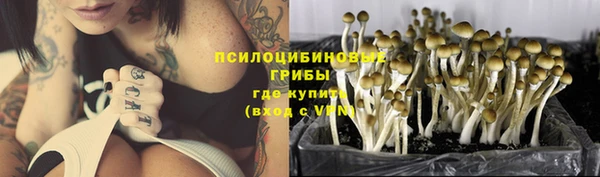 гидропоника Армянск