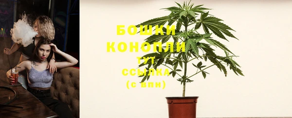 спайс Нея