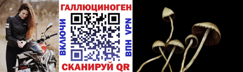 Псилоцибиновые грибы Magic Shrooms  kraken ССЫЛКА  Поронайск 